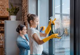 Clean The Windows In Your House