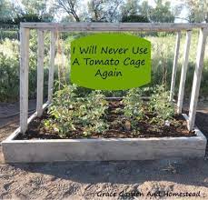 32 Free Diy Tomato Trellis Cage Ideas