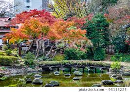 Koishikawa Korakuen Garden In Autumn