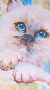 Cat Eyes Icon Stock Footage