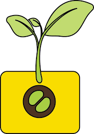 Growing Of A Plant On Yellow Pot Icon
