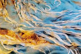 Art Of Felt