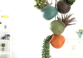 Easy D I Y Hanging Succulent Garden