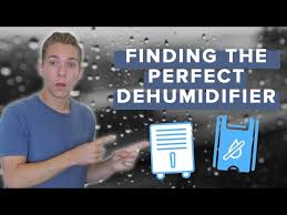 What Size Dehumidifier Do I Need
