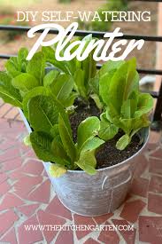 How To Make A Diy Self Watering Planter