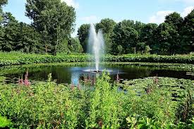 Benefits Of Pond Fountains Garden