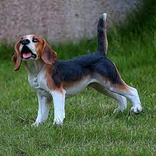 Danmu Polyresin Beagle Dog Garden