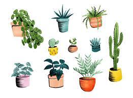 Potted Plants Making Art Everyday