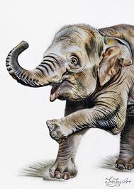 Elephant Watercolor Painting Wall Art