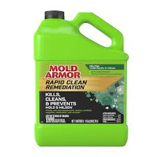 Mold Armor 1 Gal Rapid Clean