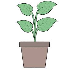 To Draw A Plant Easy Drawing Tutorial