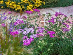 California Native Plant Society