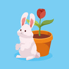 Page 61 Bunny Rabbit Icon Images