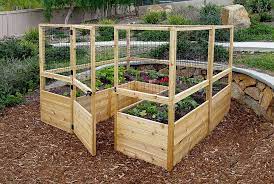 Garden In A Box Kit With Deer Fence Kit