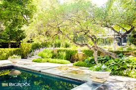 Favorite Shrubs For Utah Landscaping