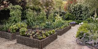 How To Start A Vegetable Garden