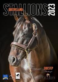 Calaméo Qld Stallions Directory 2023