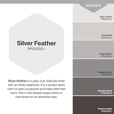 Silver Feather Flat Interior Paint