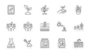 Seedling Icon Images Browse 60 529