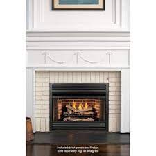 Fireplace Inserts Fireplaces The