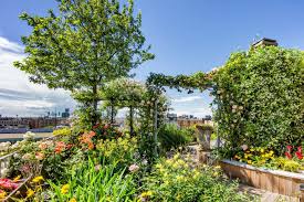 Rooftop Gardens Can Lower City Heat