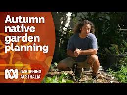 Autumn Australian Native Garden