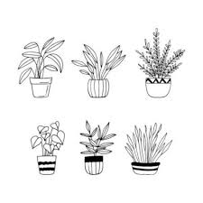 Houseplants In Pots Set Icon Hand Drawn