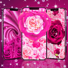 Pink Rose Silk Live Wallpaper Apk