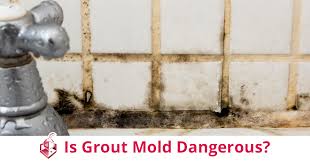 Is Grout Mold Dangerous