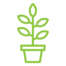 Plant Pot Free Nature Icons