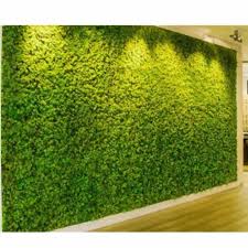 Green Decorative Moss Wall Grass At Rs