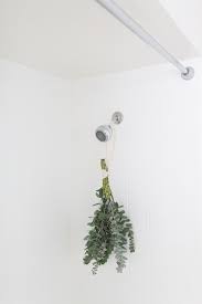 How To Hang Eucalyptus In The Shower A