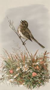 Bird On A Stalk Classical Artworks