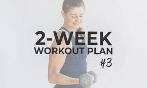 Free Monthly Workout Plan And Meal
