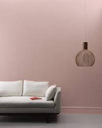 Allspice 2101 50 Benjamin Moore