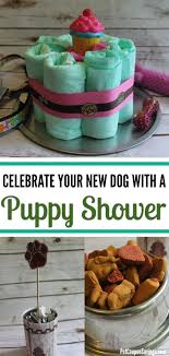 Puppy Shower Ideas To Celebrate Your
