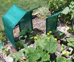 Shade Gardening Ideas Shade Cloth