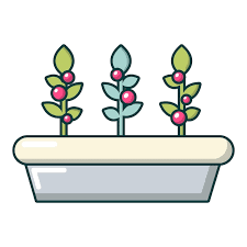 Outdoor Potted Plants Icon Cartoon