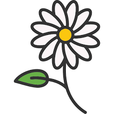 Daisies Free Nature Icons