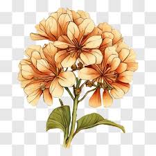 Vibrant Orange Flower Bouquet Drawing