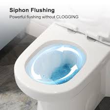 1 6 Gpf Dual Flush Round Toilet