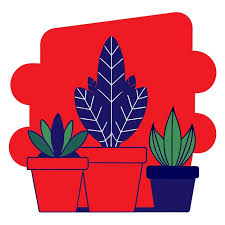 Page 4 Best Office Plants Vectors