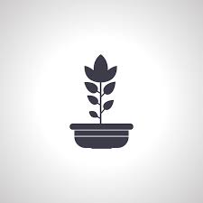 Indoor Plant In A Pot Icon Flower In A
