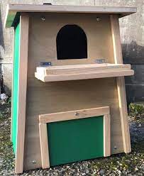 A Barn Owl Nest Box