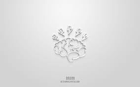 Brain 3d Icon White Background 3d