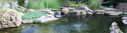 Small Pond Waterfall Ideas Amp