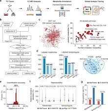 Stable Isotope Tracing Metabolomics