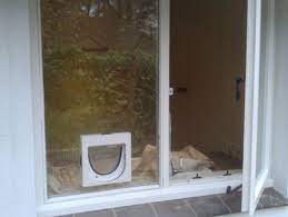 Cat Flap Fitting Service In Basingstoke