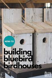 Building Bluebird Bird Houses How To