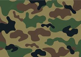 Military Style Camouflage Military
